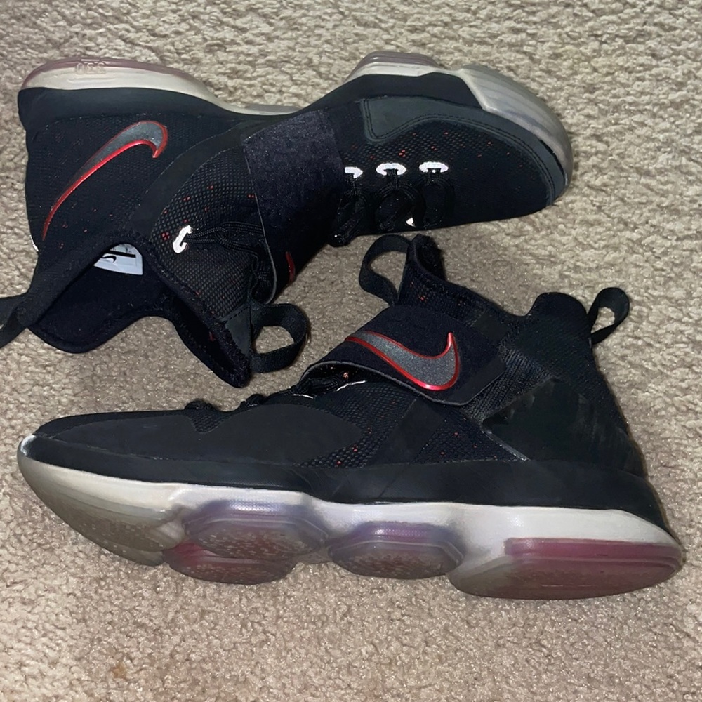 Lebron 14 bred